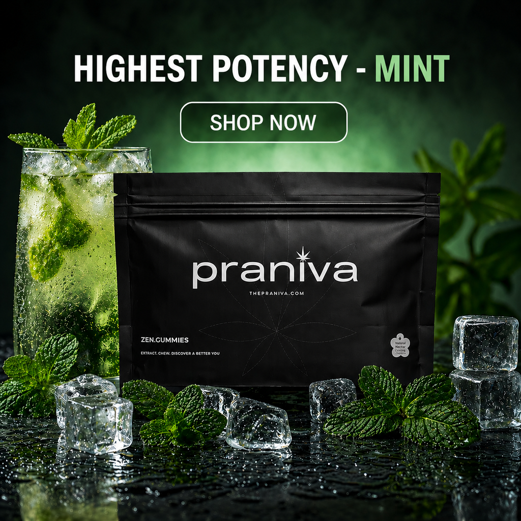 Zen Gummies (Mint) - 9.26% Cannabis Leaf Extract