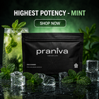 Zen Gummies (Mint) - 9.26% Cannabis Leaf Extract